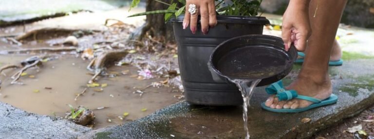 Minas divulga primeiro levantamento de infestação do Aedes aegypti em 2026