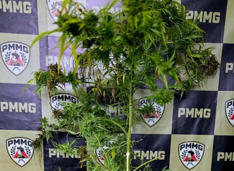 Polícia Militar prende homem por tráfico de drogas em João Monlevade