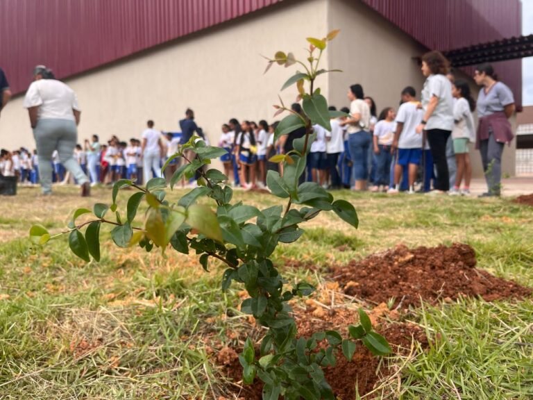 Prefeitura de São Gonçalo do Rio Abaixo planta 70 mudas de acerola no Mês da Água
