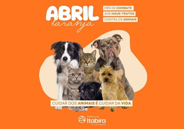 Abril Laranja reforça combate aos maus-tratos animais em Itabira