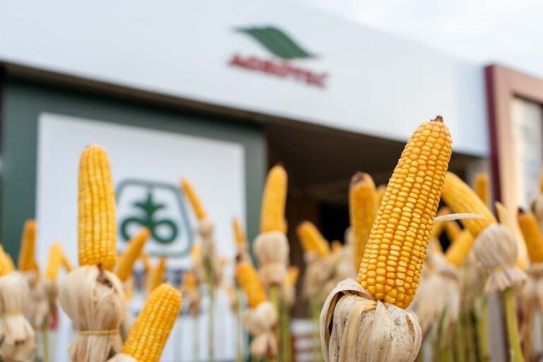 Agrotec, do Grupo Agrihold, destaca inovação e sustentabilidade em feira do agro no Paraguai