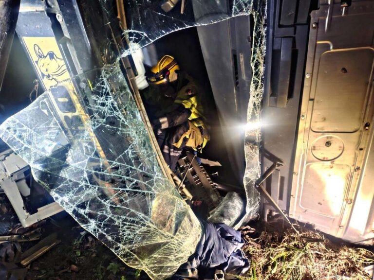 Carreta com bovinos tomba na BR-381 e deixa dois feridos e animais mortos em João Monlevade