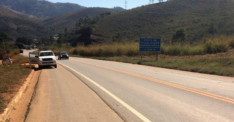 Antecipação dos trevos e pauta da BR-262 em Brasília