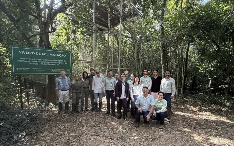 Após 50 anos, jacutinga volta a ser registrada no Parque Estadual do Rio Doce