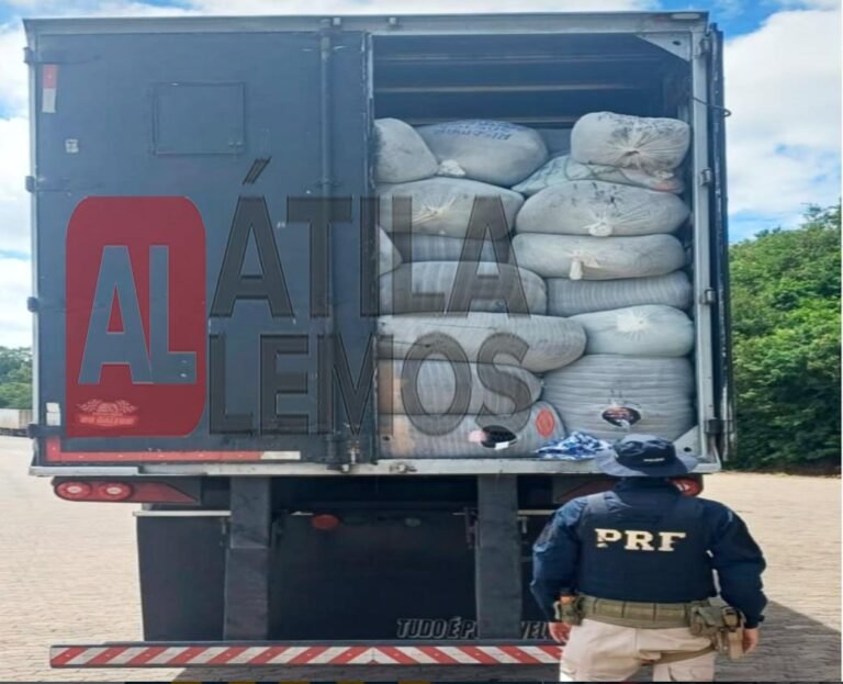 Polícia apreende carga de confecções irregulares em Montes Claros