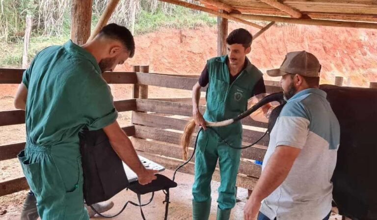 IFMG e Unidade Tecnológica Ceipart fortalecem cadeia produtiva do queijo em São Gonçalo do Rio Abaixo