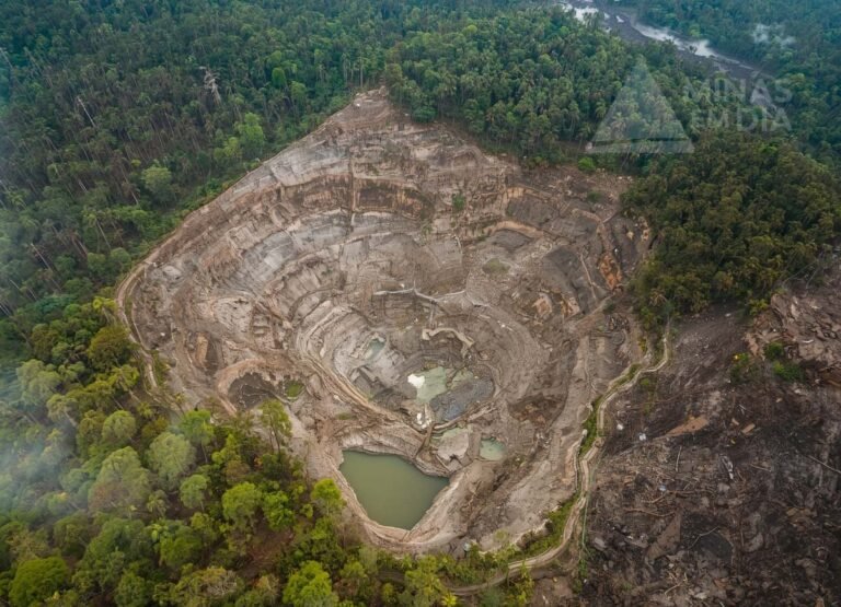 AMIG Brasil cobra fortalecimento da ANM e apresenta reivindicações contra mineração ilegal à Câmara dos Deputados