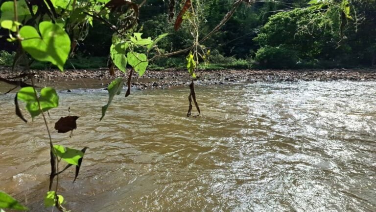 Corpo de Bombeiros realiza buscas por desaparecido no Rio Piracicaba, em João Monlevade