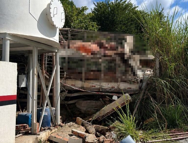 Caminhão com carga viva capota, atinge residência e deixa grávida morta em MG