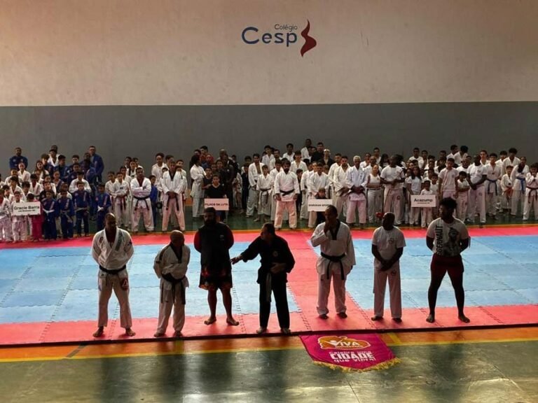 Festival de Artes Marciais reúne 350 atletas em João Monlevade