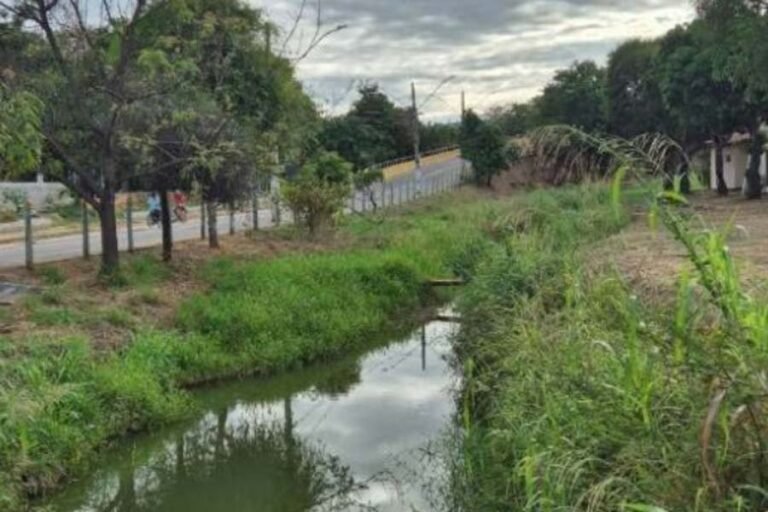 MPMG aciona Vale e Prefeitura por loteamento irregular e danos ambientais no bairro Triângulo