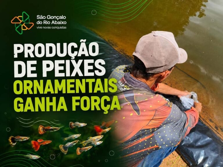 Produção de peixes ornamentais fortalece agronegócio em São Gonçalo do Rio Abaixo