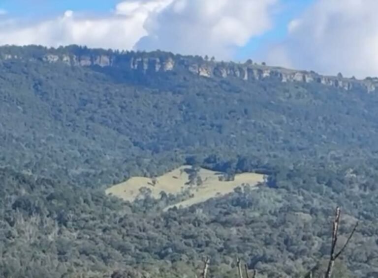 Vídeo de objeto luminoso em área rural do Paraná viraliza e gera debate nas redes sociais