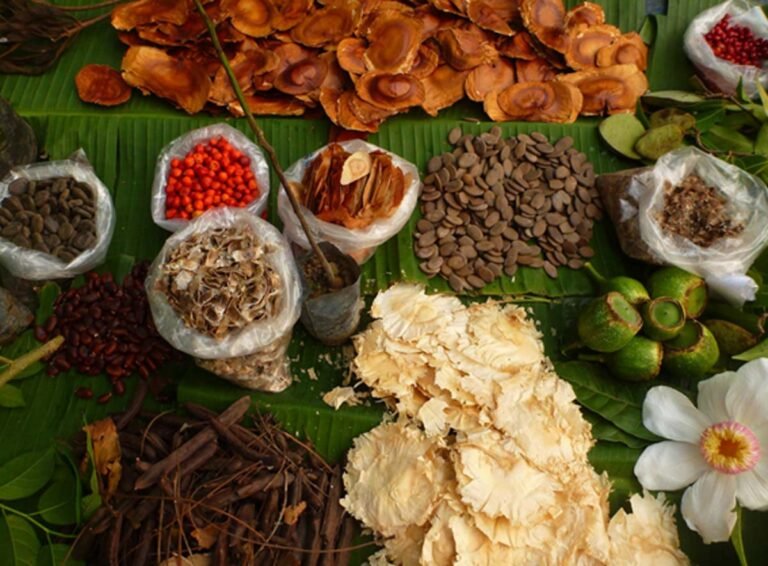 Idesam lança desafio de bioinovação na Amazônia co-criado com comunidades da Terra do Meio e Acre