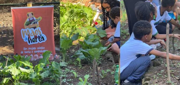 Projeto Mãos à Horta cresce e chega a novas escolas em Itabira