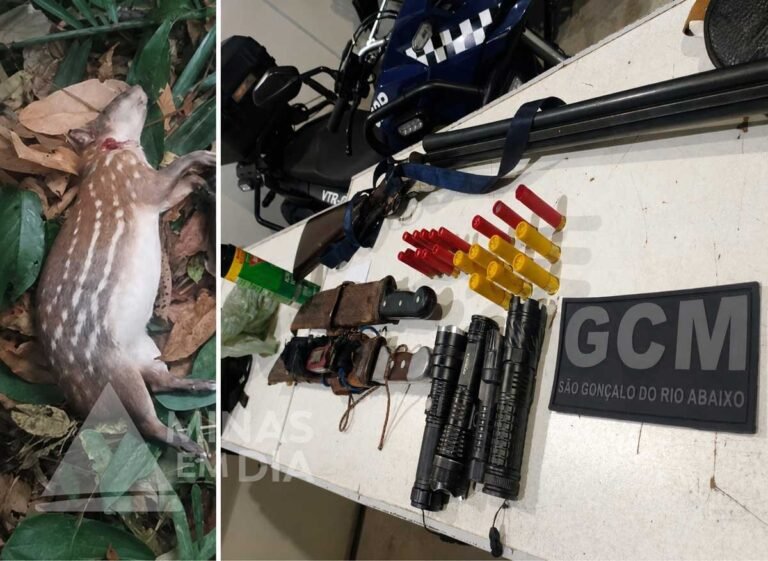 Dupla é presa pela Guarda Civil com espingarda, munições e animal silvestre em São Gonçalo do Rio Abaixo