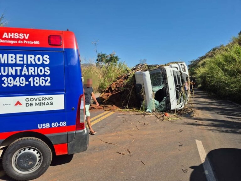 Vídeo; Caminhão que transportava grama capota na BR-262