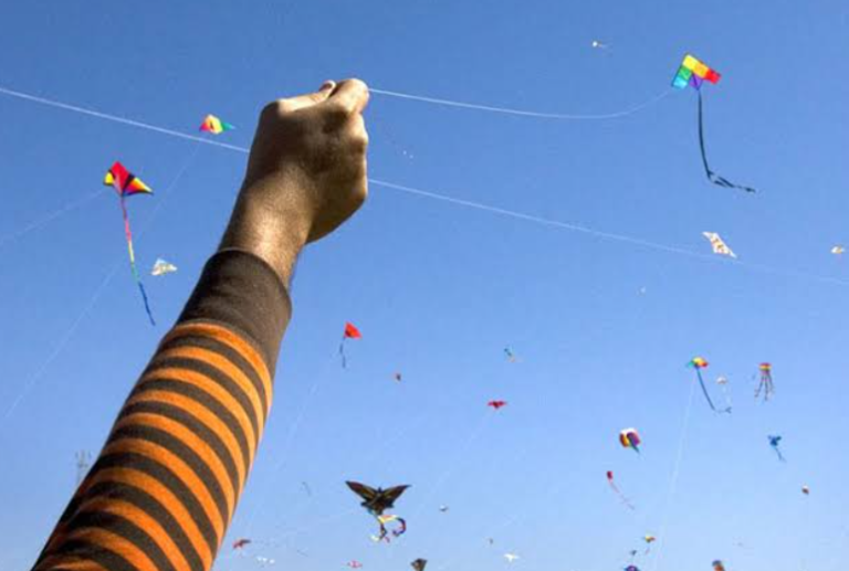 Festival de Pipas reúne famílias e resgata brincadeira tradicional em São Gonçalo
