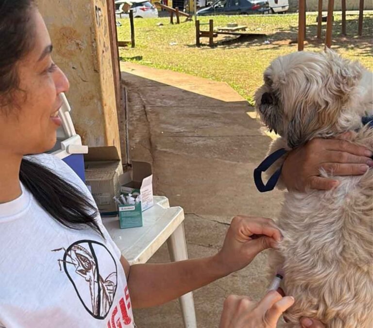 João Monlevade vacina mais de 8,4 mil cães e gatos contra a raiva